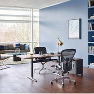 Herman Miller Aeron B exclusive